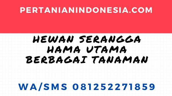 Hewan Serangga Hama Utama Berbagai Tanaman